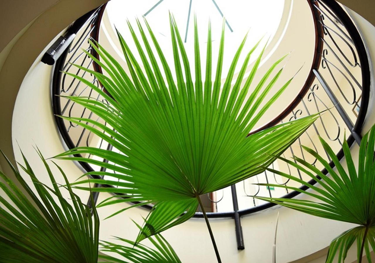 סאן סלבדור Hotel Berlin מראה חיצוני תמונה
